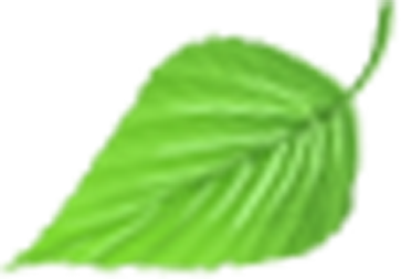 leaf